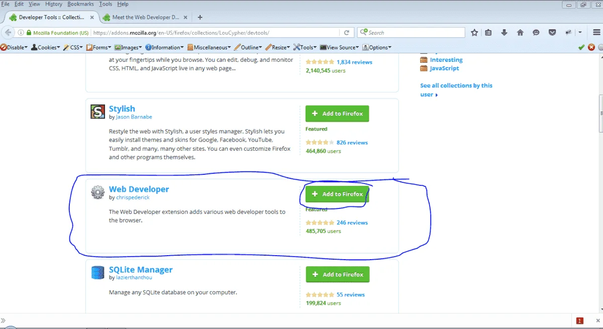 web developer.webp
