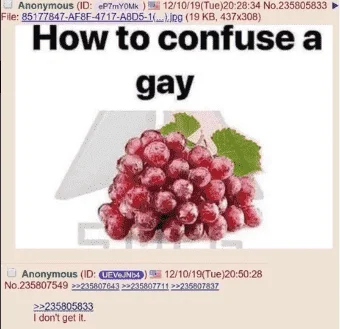 how to confuse a gay.png