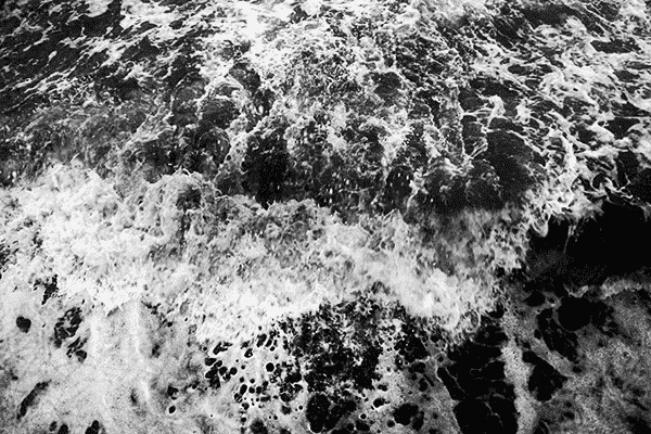 bw6.webp