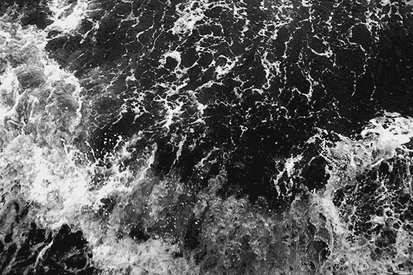 bw5.webp