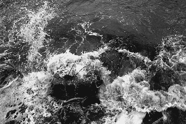 bw4.webp