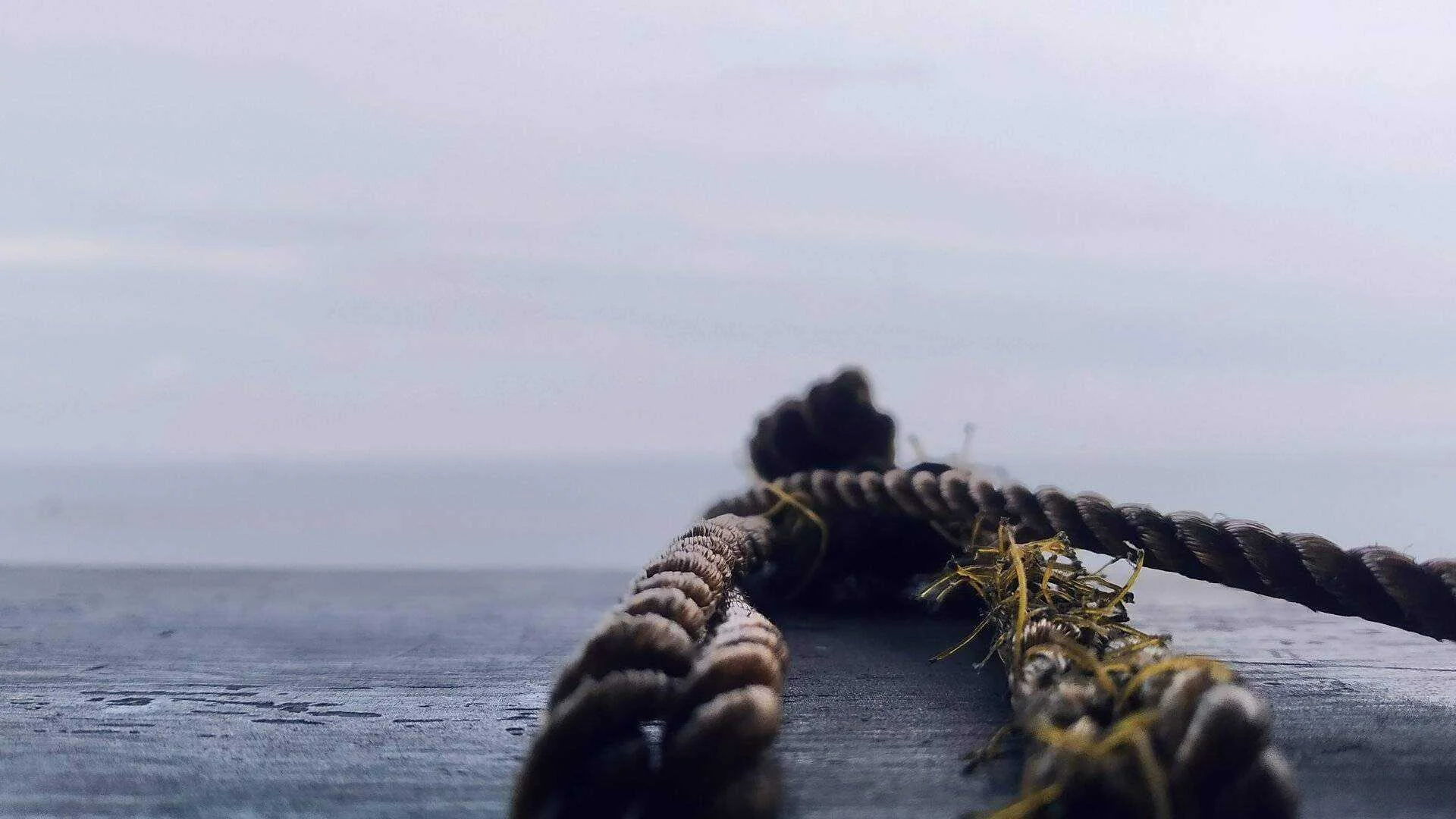eyeemfiltered1577620393804.jpg