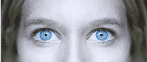 1581215994181.webp