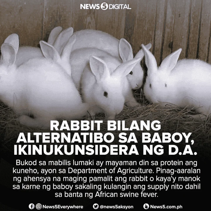Agree ba kayo rito?