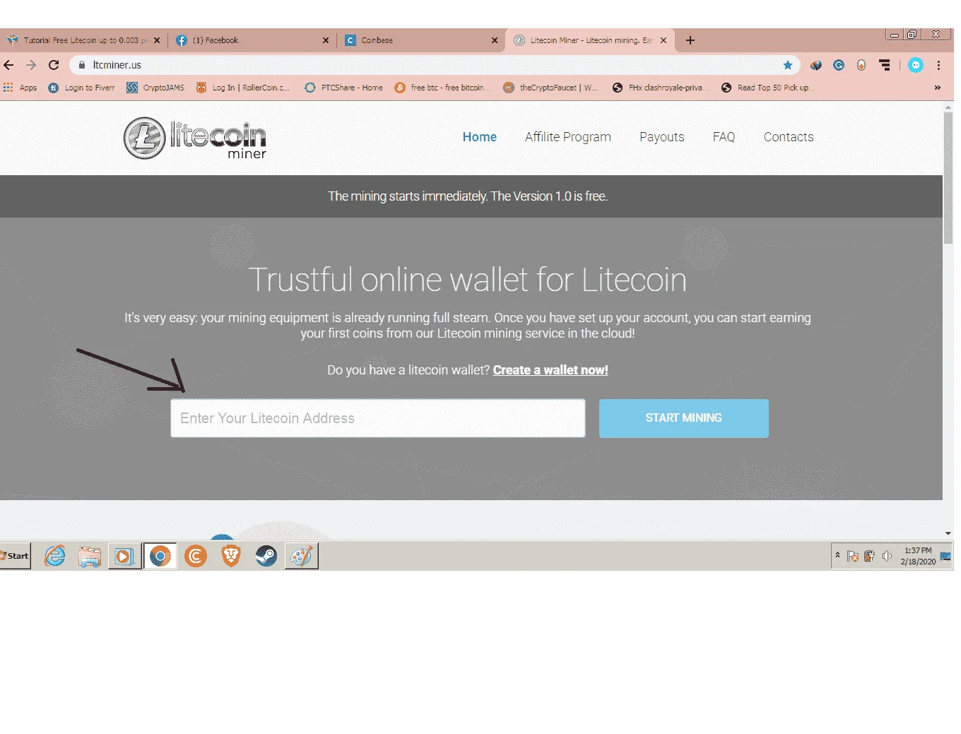 ltcminer.webp
