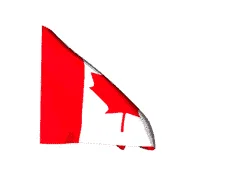 images (1).webp