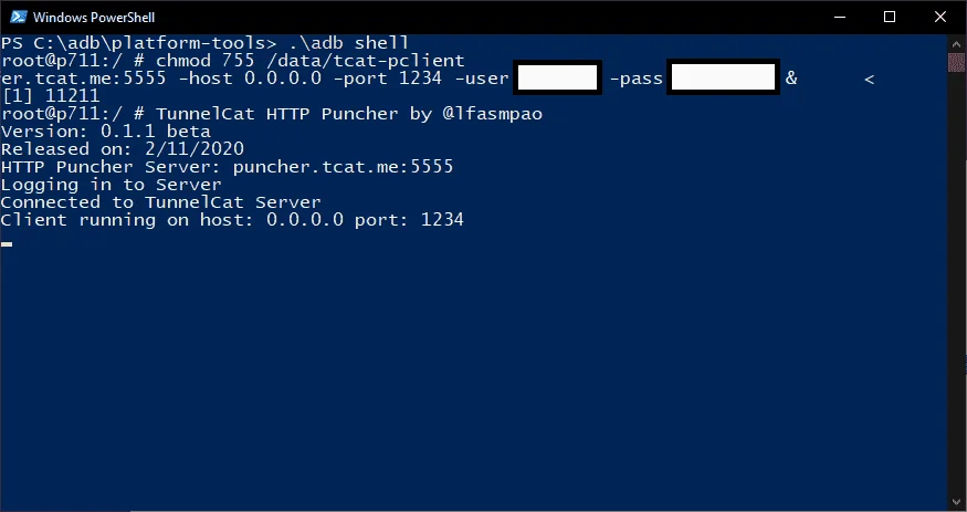 2.webp