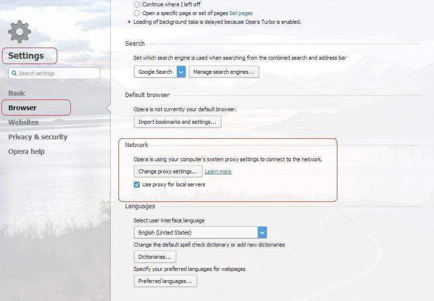 opera_setting.webp