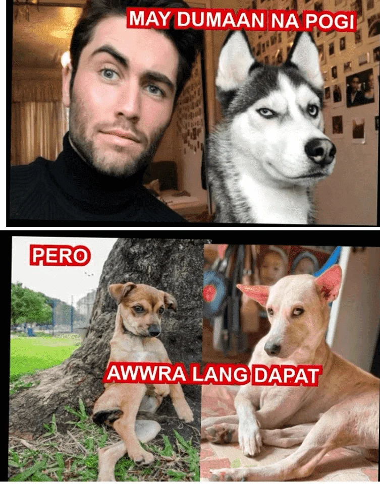 1583031372504.webp