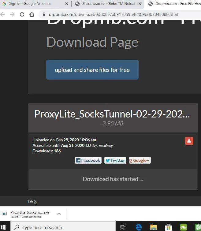 proxylight5.webp