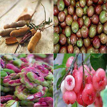summer fruits.jpg