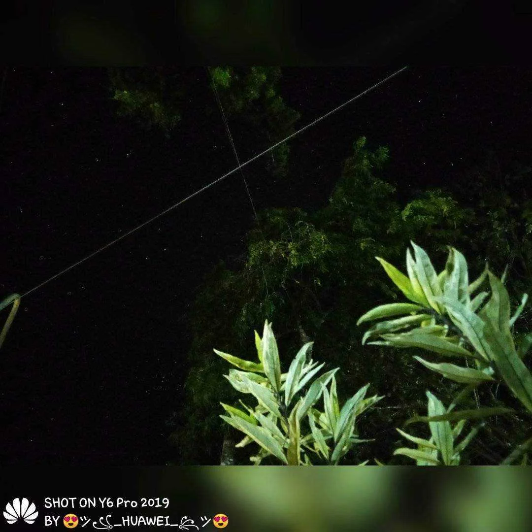 SI_20200315_225702.webp