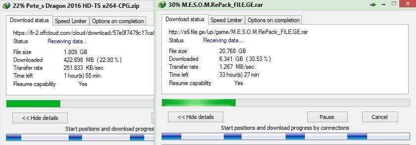 homaygeeed.webp