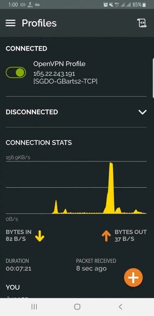 Screenshot_20200328-130007_OpenVPN Connect.webp
