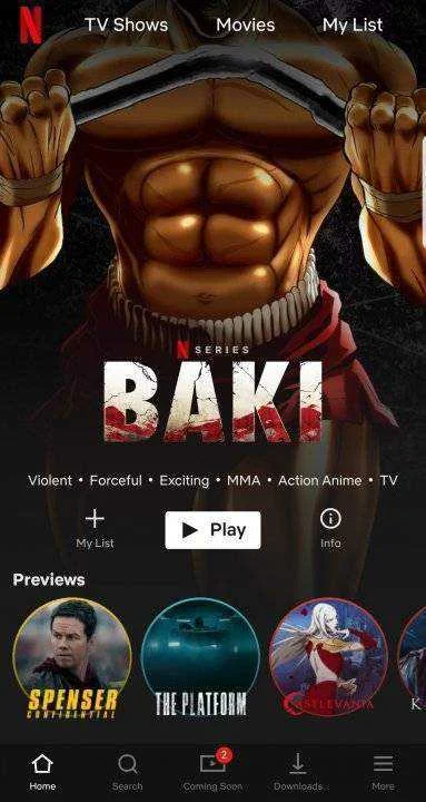Screenshot_20200329-115411_Netflix.jpg