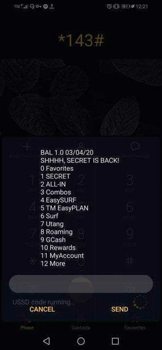 Screenshot_20200403_002141_com.android.phone.webp