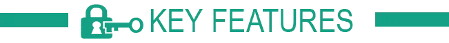 Key Features.png