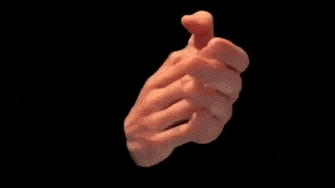 giphy (1).gif