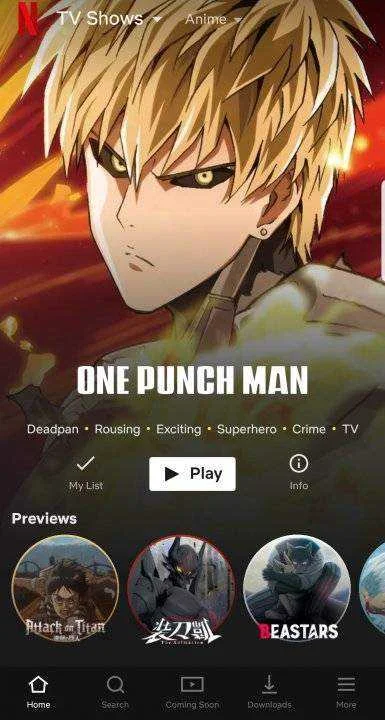 Screenshot_20200419-232835_Netflix.jpg