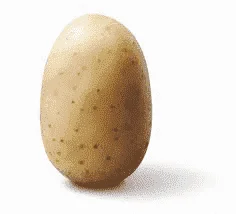 USDA Approves Genetically Engineered Potato | Time