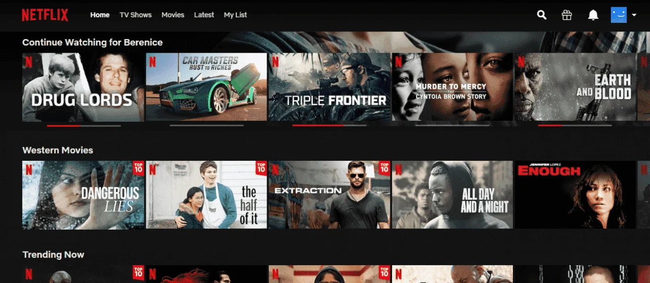net.PNG