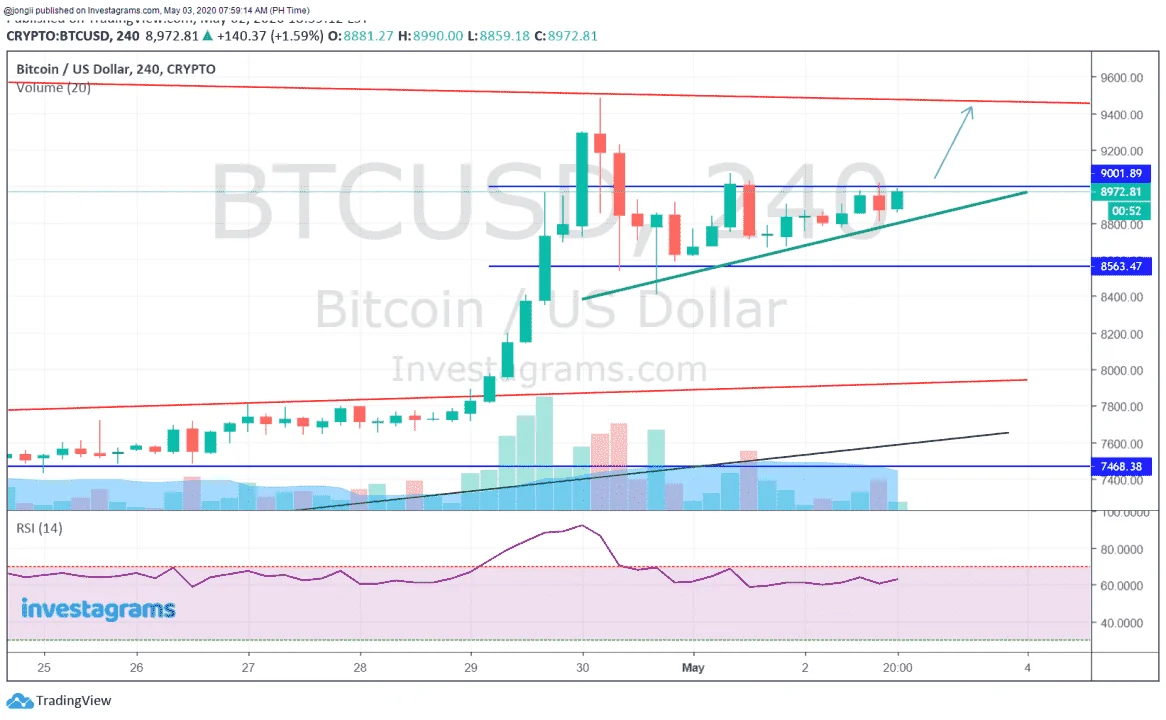 PERP BTC 050320.webp