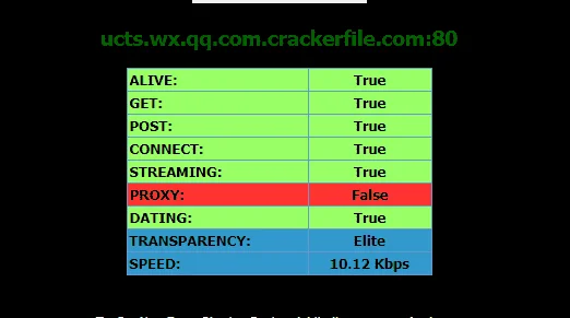 31.webp