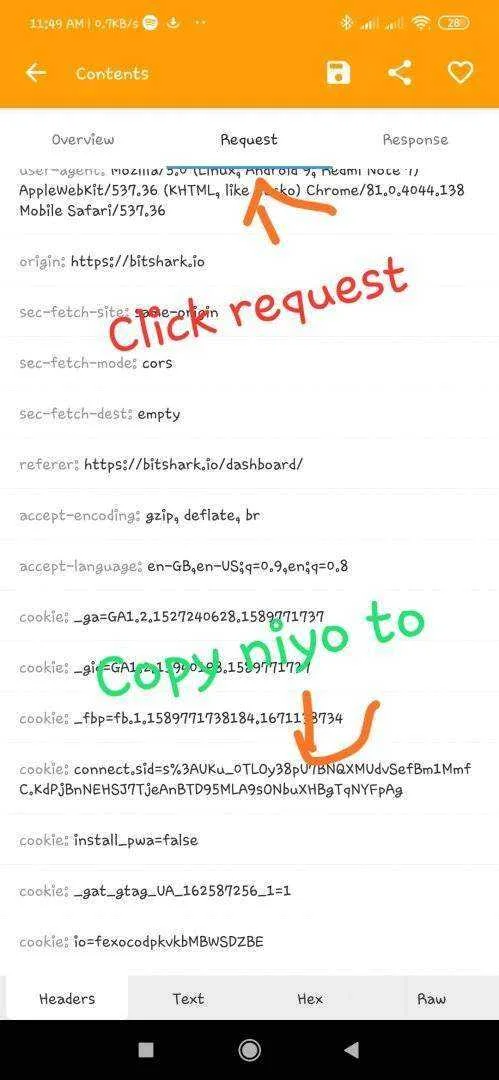 IMG_20200518_115652.webp