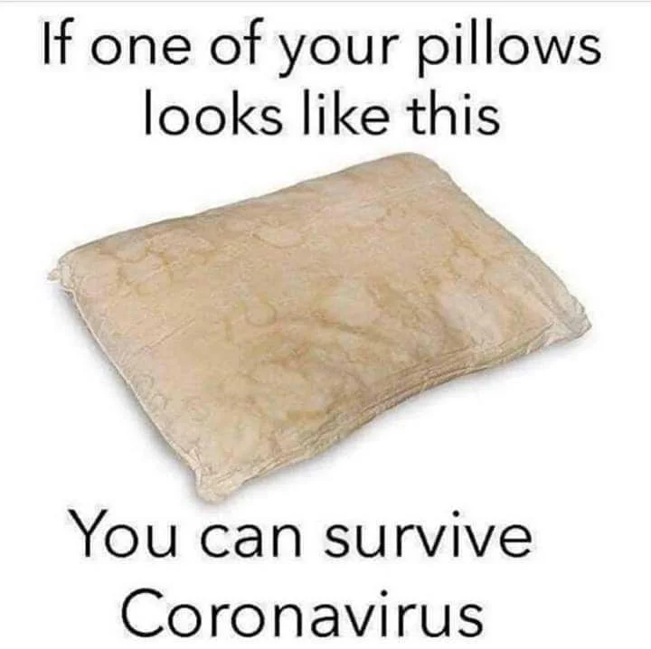 PILLOW.webp
