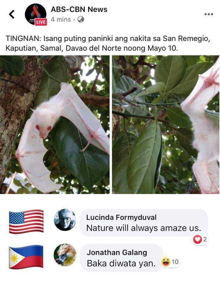 324.jpg
