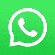 45355354.webp
