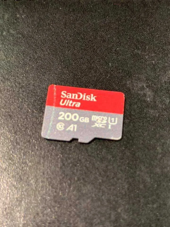 81933845_577362543110257_1868621162456547328_n.webp