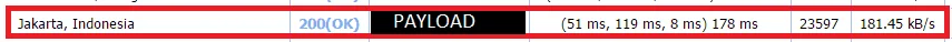 payload102.webp