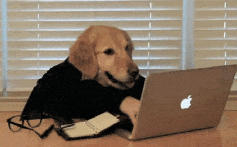 oie_5181838bU3HJXJp.gif