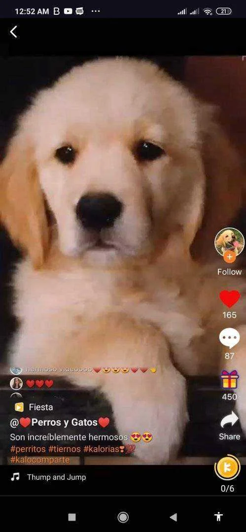 Screenshot_2020-05-29-00-52-19-209_video.social.comunidad.kalo.jpg