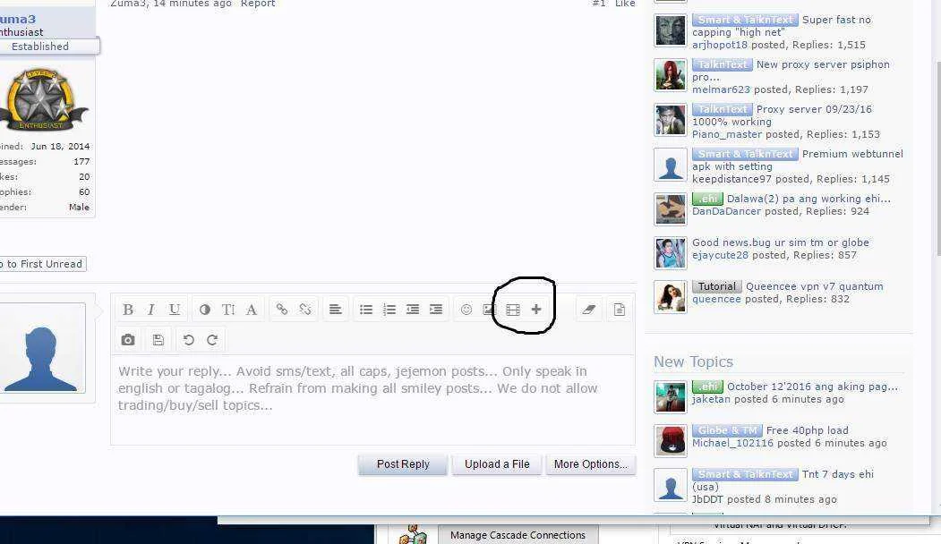 123123.webp