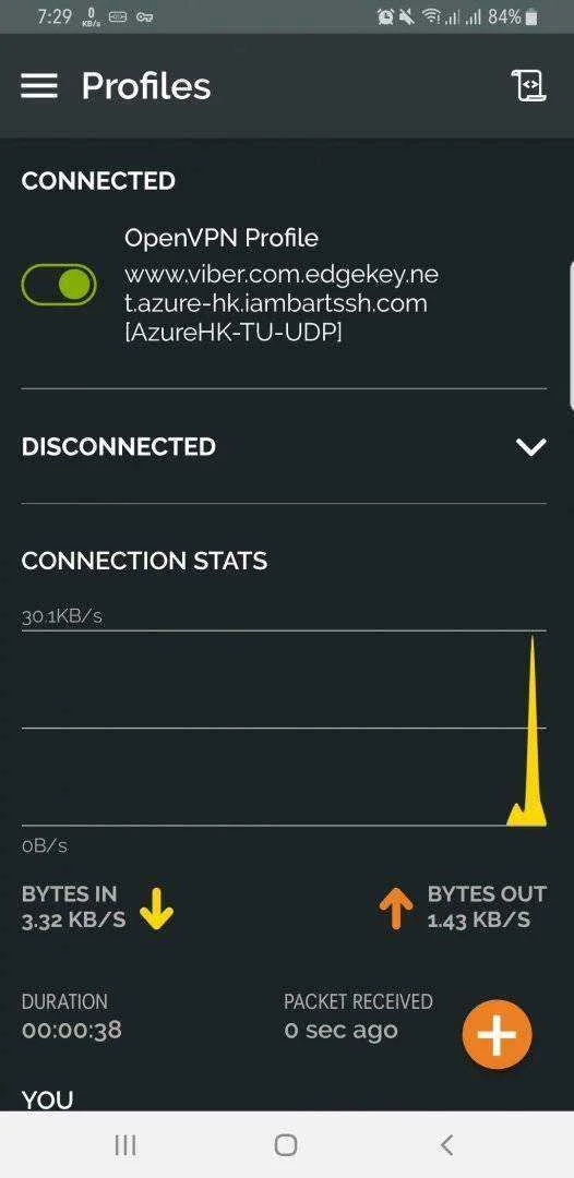 Screenshot_20200611-192905_OpenVPN Connect.webp