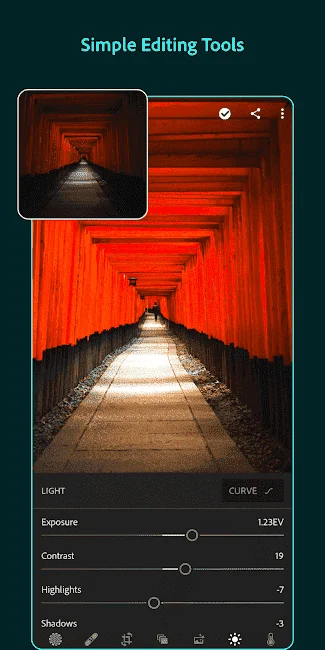 8656565.webp