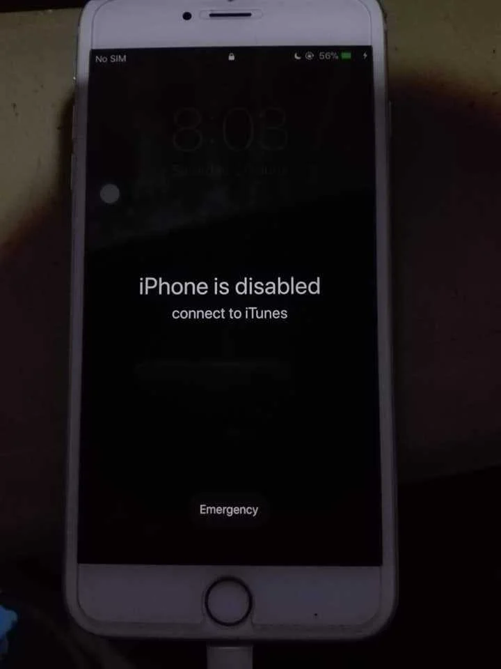 104708256_4494661080547702_8732430352736603844_n.webp