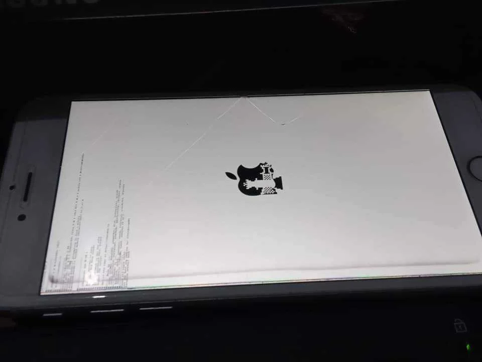103768825_4494661207214356_3955608692672359853_n.webp