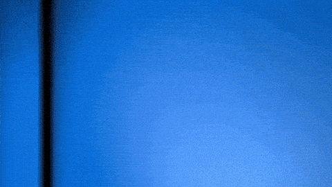 giphy.gif