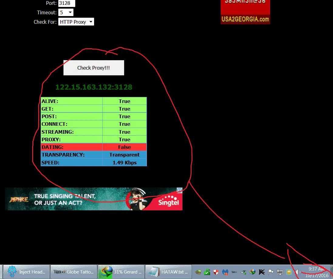 1.webp