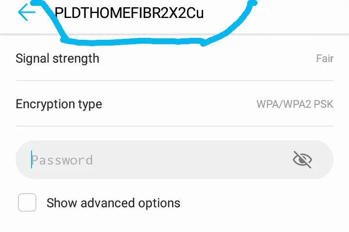 83445380_213434503081815_5663556553680481137_n.webp