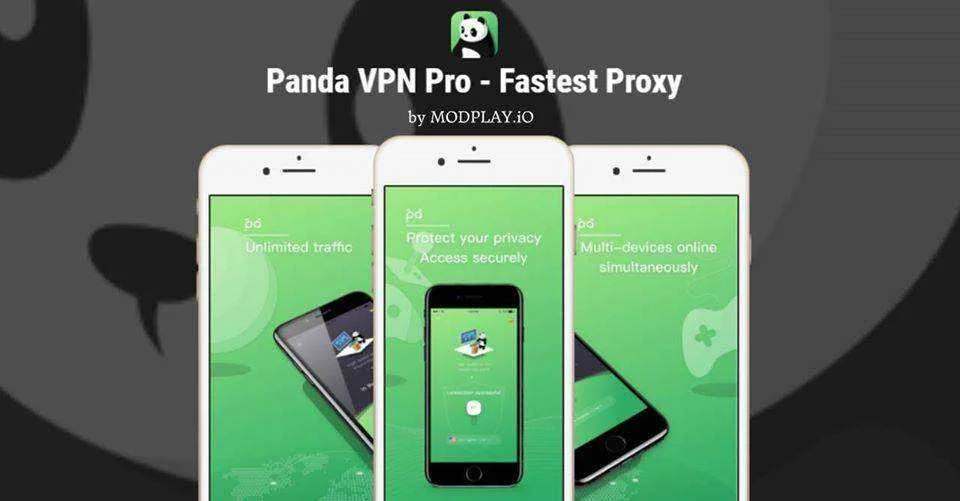 PAnda VPN.jpg
