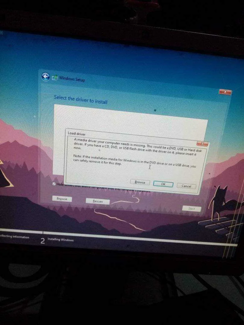 15938668838434877038806631769471.webp