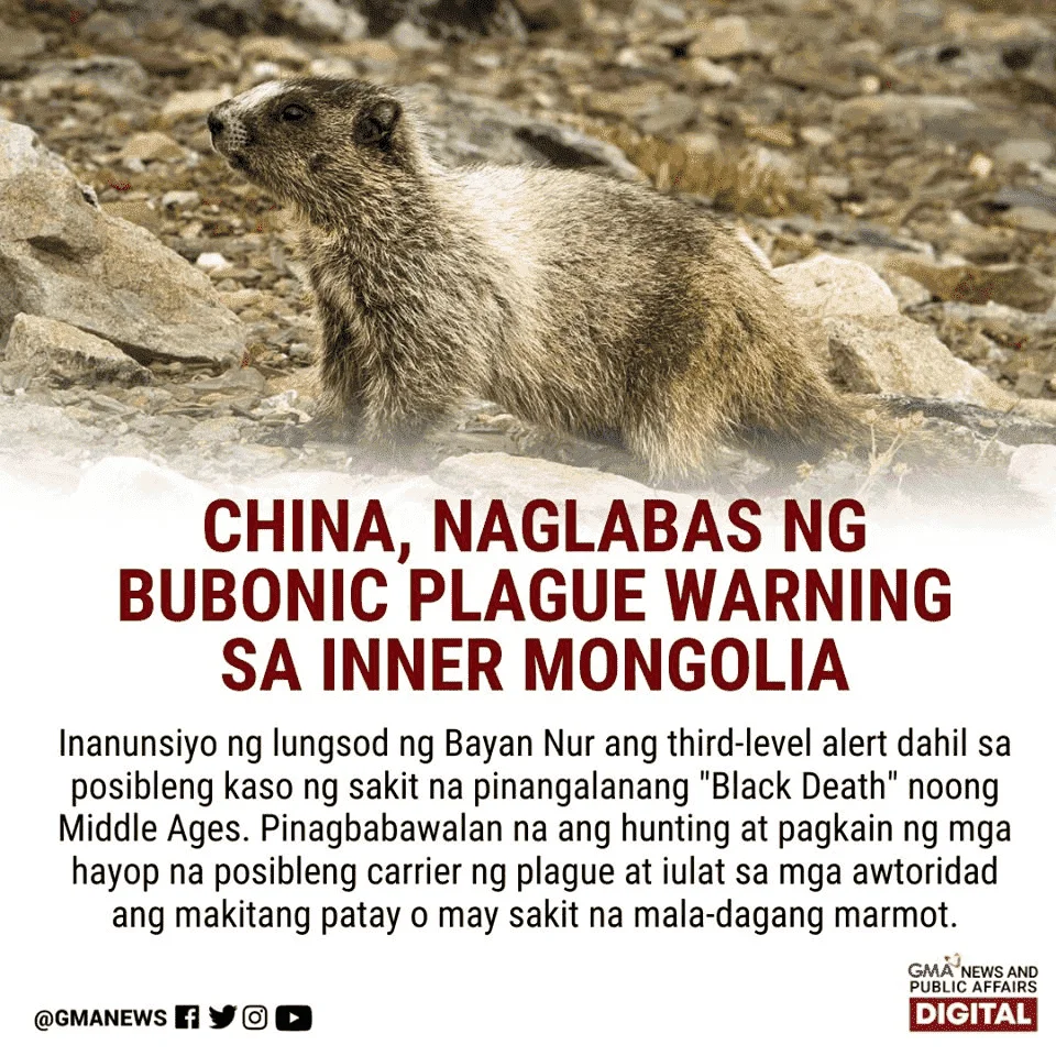 bubonic plague [news]