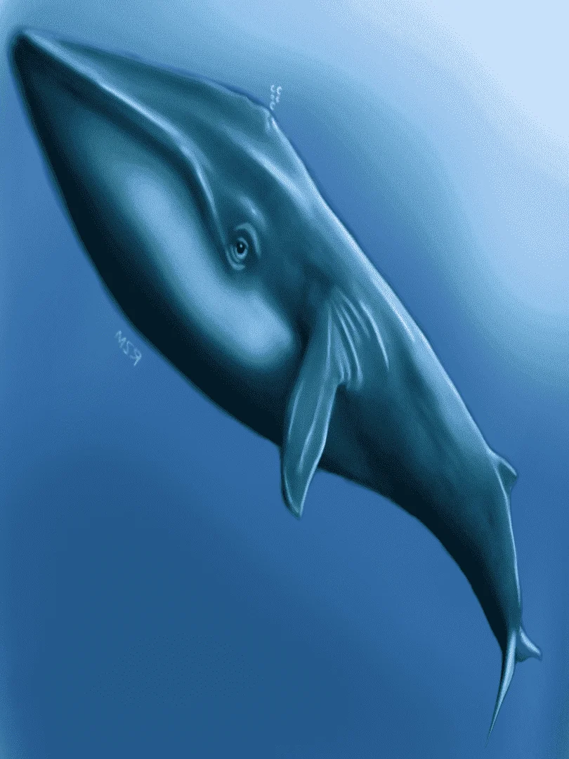 Untitled12_20200628183438.png