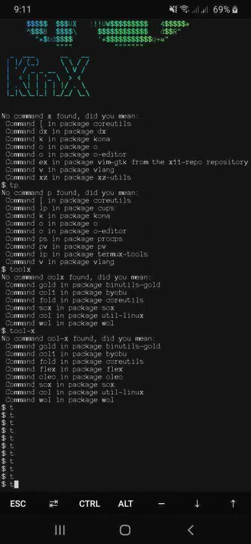 Screenshot_20200719-211119_Termux.webp