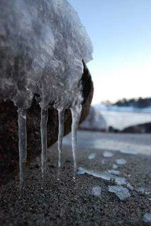 Icy-Quartet.webp