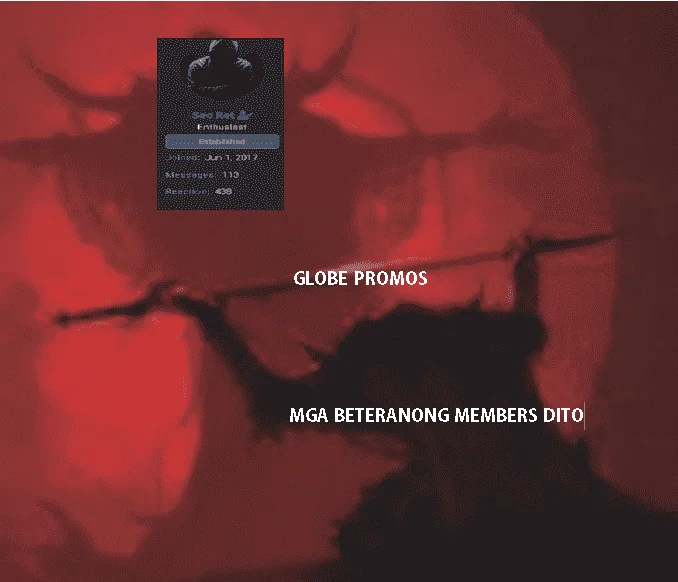 0000000001111.PNG